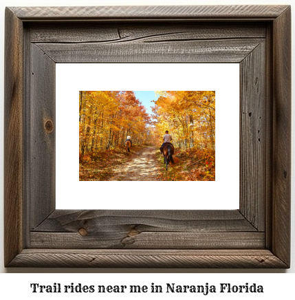 trail rides near me in Naranja, Florida